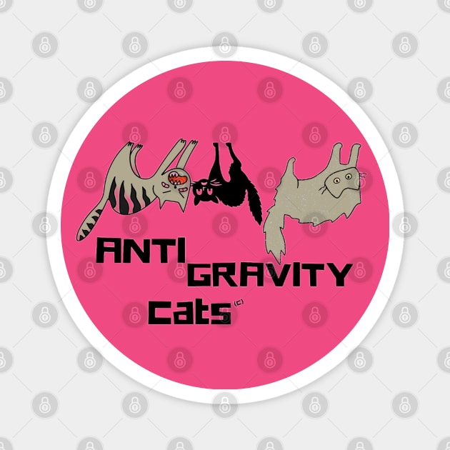 Anti Gravity Cats Original Art By Abby Anime Magnet by Abby Anime